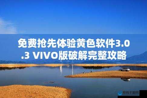 软件免费下载 3.0.3vivo 免费版：提供便捷的下载体验