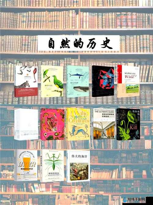 探索xxxxx性13一14的奥秘：全面解析其特点与应用场景