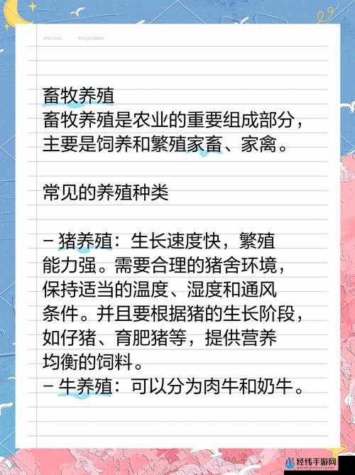 一小时人生养羊秘籍，解锁高效养殖新技巧