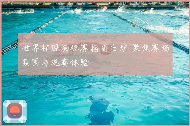 世界杯现场观赛指南出炉 聚焦赛场氛围与观赛体验