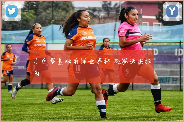 小白零基础看懂世界杯 观赛速成指南
