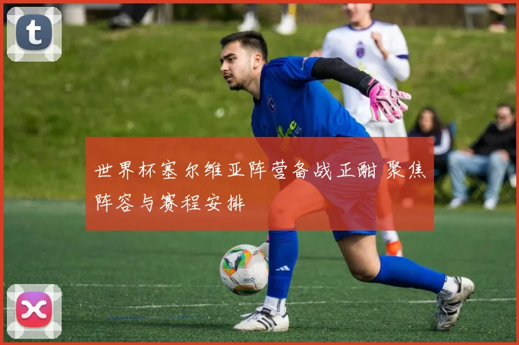 世界杯塞尔维亚阵营备战正酣 聚焦阵容与赛程安排