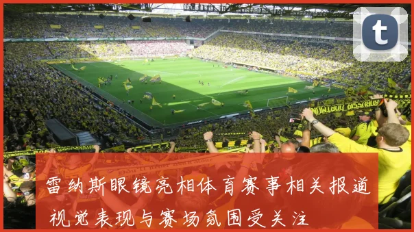 雷纳斯眼镜亮相体育赛事相关报道 视觉表现与赛场氛围受关注