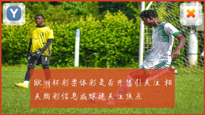 欧洲杯彩票体彩是否开售引关注 相关购彩信息成球迷关注焦点