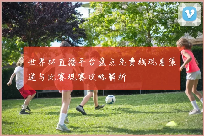 世界杯直播平台盘点免费线观看渠道与比赛观赛攻略解析