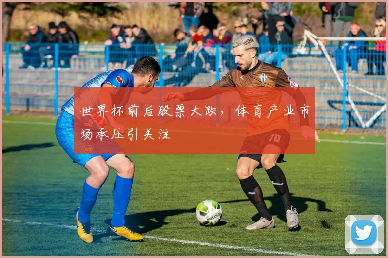 世界杯前后股票大跌，体育产业市场承压引关注