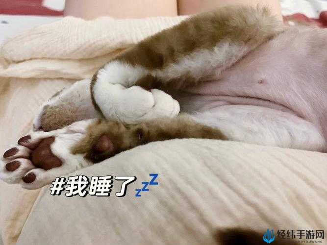 装睡故意把腿张开给公：床笫之间暗涌的危险诱惑