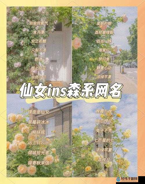 爆！蜜桃欧洲人最新网名是多少字？亲测超火的网名灵感来了！